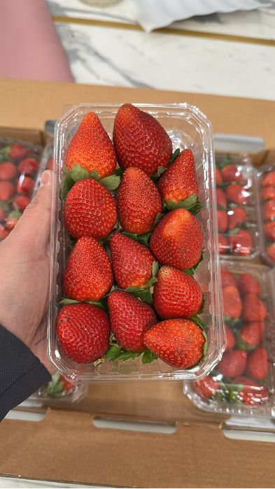 Клубника Египет