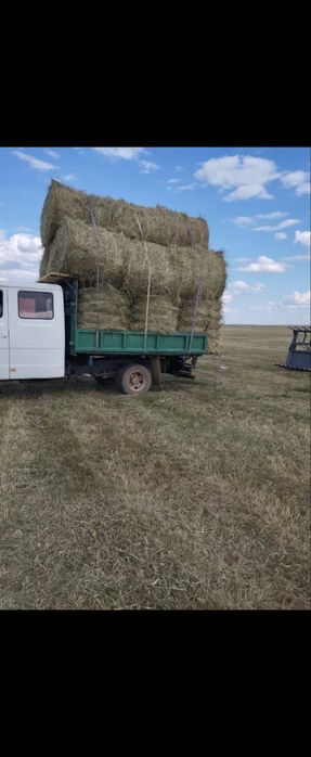 Продам сено, тюки,рулоны