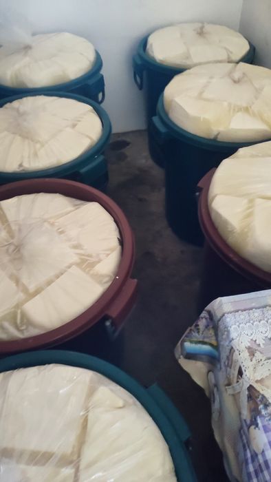 Vând telemea de oaie