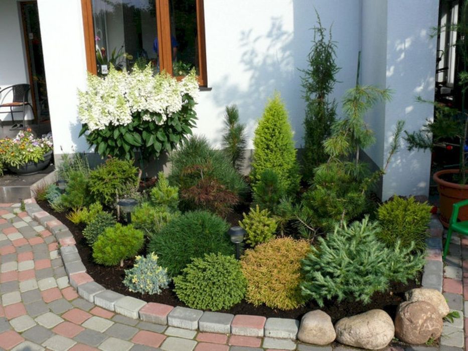 Богбон. дарахт ва кустарникларга шакл бериш Садовник