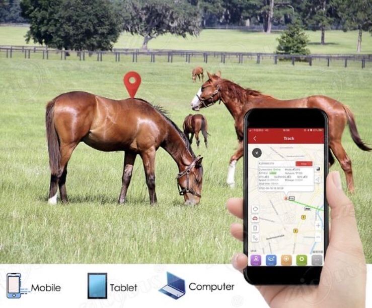 GPS трекер для лошадей/Малға GPS