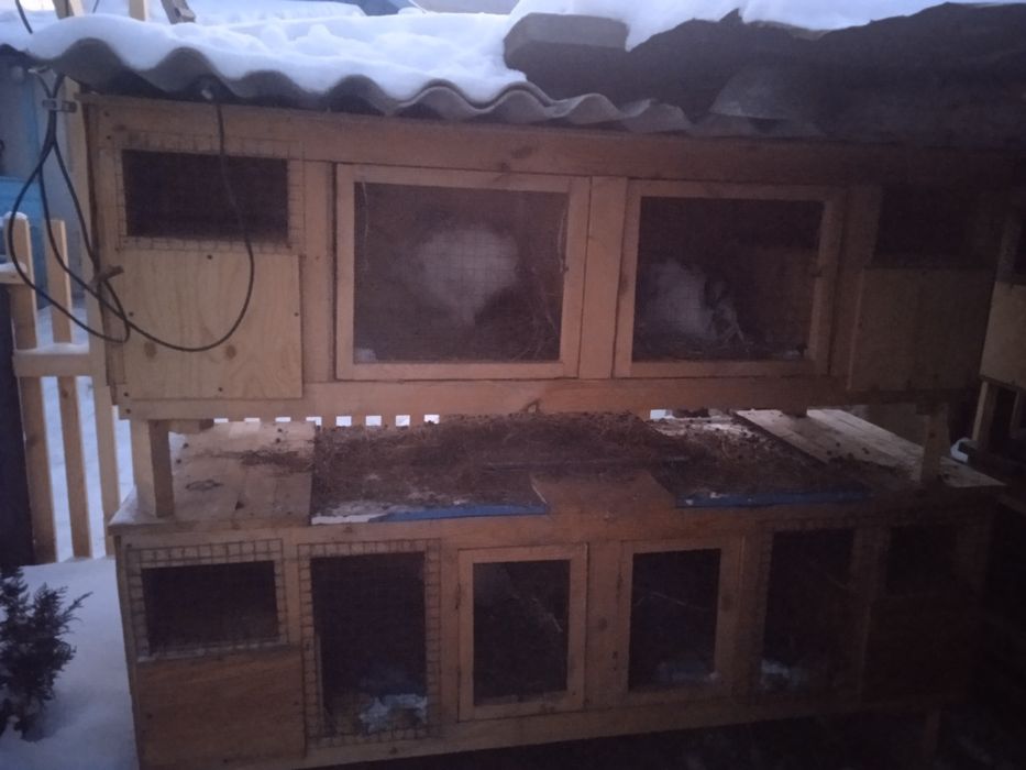 Продам маточники для разведения