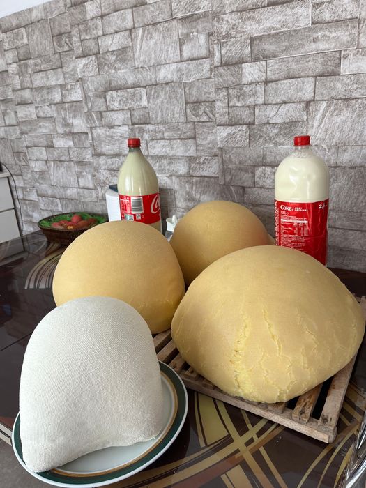 Vand branza , urda …