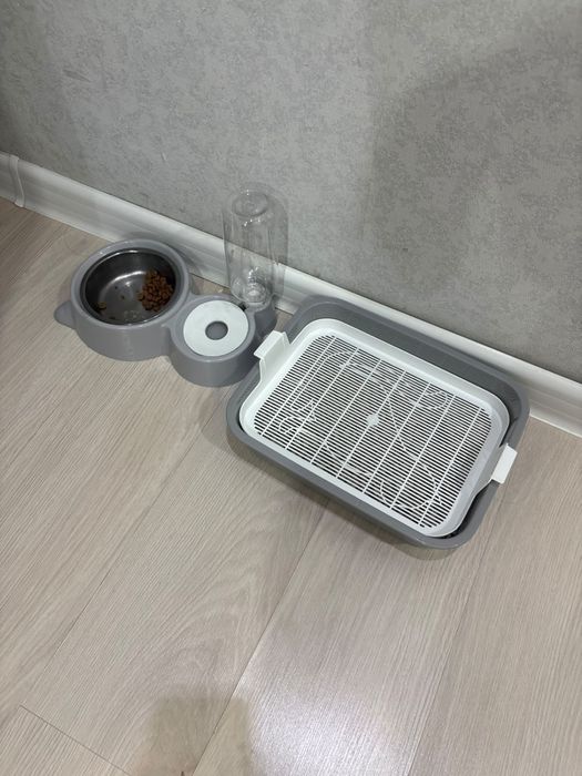Котенок в хорошие руки Девочка