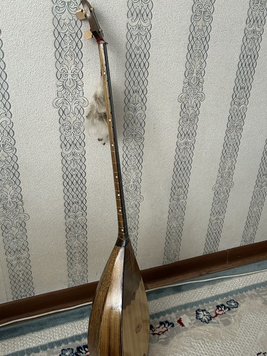 Домбра чехолмен бірге