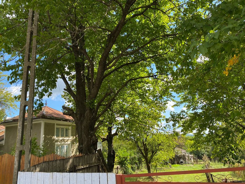 De vânzare casă spațioasă în Ciortești, jud. Iași