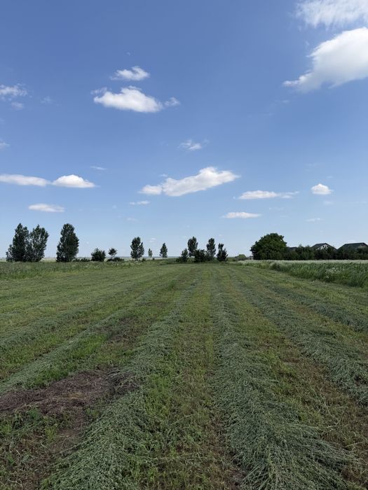 Teren intravilan 5000 mp/parcelabil de vânzare – Zorești, com. Vernești, jud. Buzău