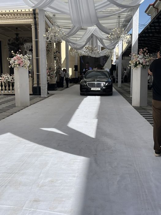 Туй, картеж фотиха хизматлари