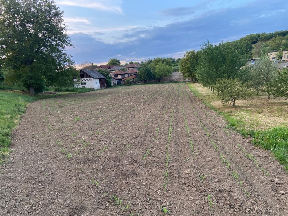 Casă de vânzare la țară, cu anexe și priveliște superbă   ideală pentr