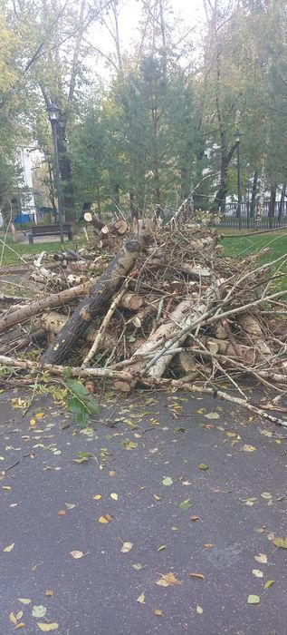 Отдам дрова бесплатно