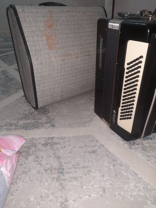 аккордеон weltmeister