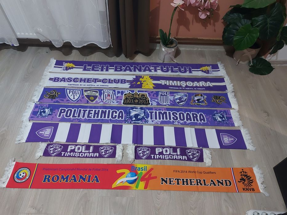 Fulare Poli Timisoara si Romania-Olanda 2014