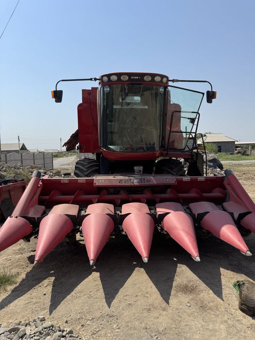 Ichkaridan porno sik