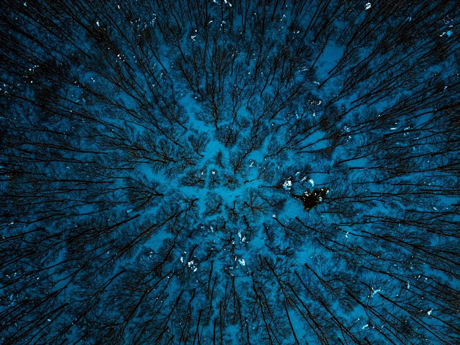 Заснемане с дрон