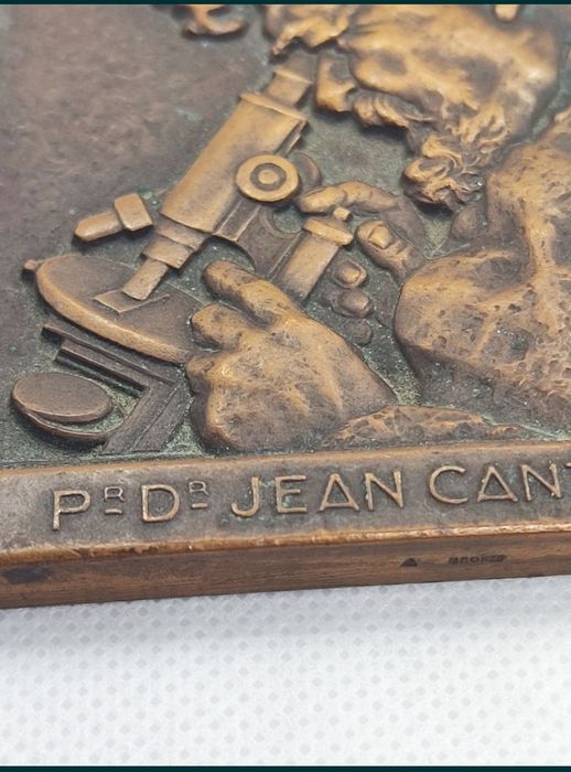 Plachetă Bronz 1933 Prof. Dr. Ion Cantacuzino Gravură André Lavrillier