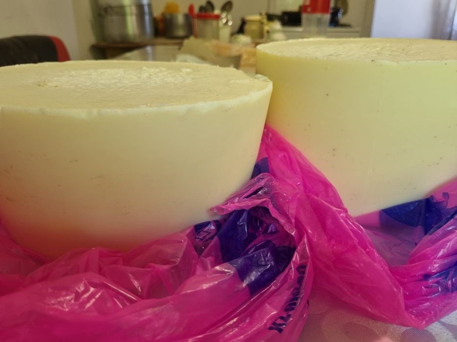 Продам говяжий жир (топлёное)