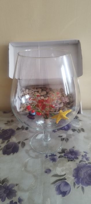 Аквариум 5 литров комплект