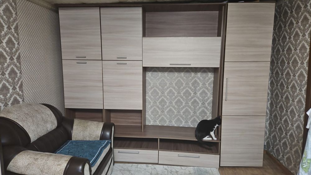 Большой шкаф в зал