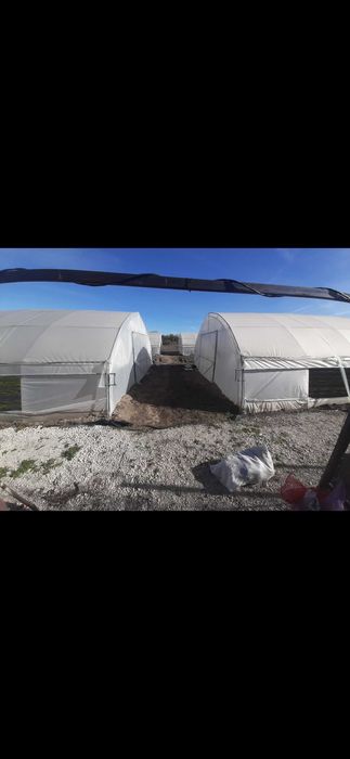 ПРОДАВАМ/ОТДАВАМ  ФЕРМА -зеленчуци,орънжерии инфраструктора