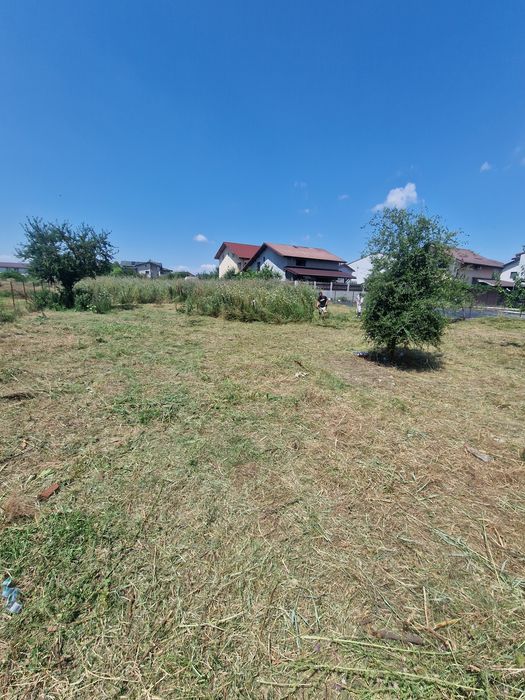 Lucrari gradina motocultor motosapa frezare sol defrisari terenuri tai pomi copaci cu drujba defrisam tai iarba buruieni