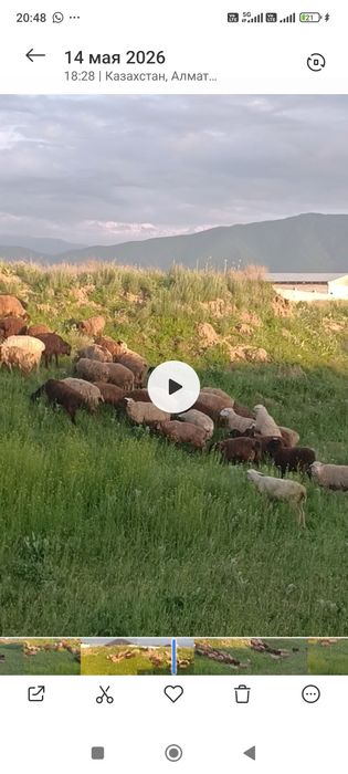 Орын Енбекші аулы