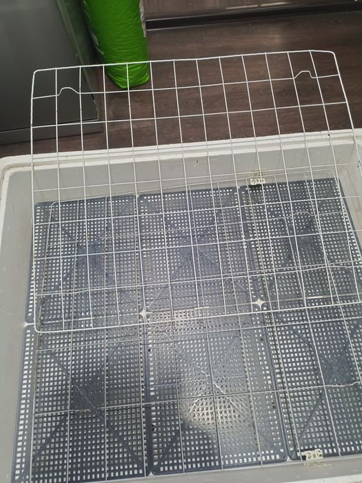 Цифровой автоматический инкубатор