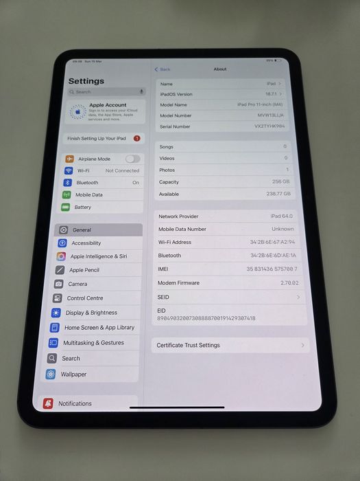 Ipad Pro 11inch m4 Cellular 256gb