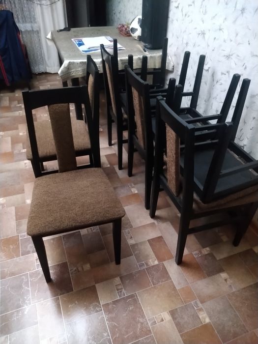 Стол и стулья 10 шт.