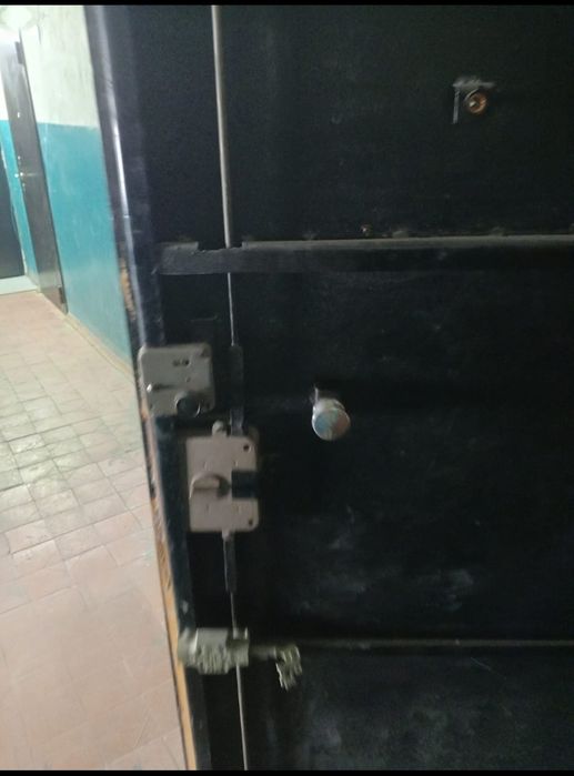 Двери входные металл и дерево