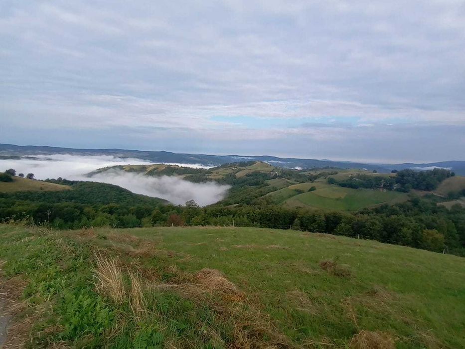 Vand casa batranesca Sopotul Nou si 24ha pasune total 125000euro