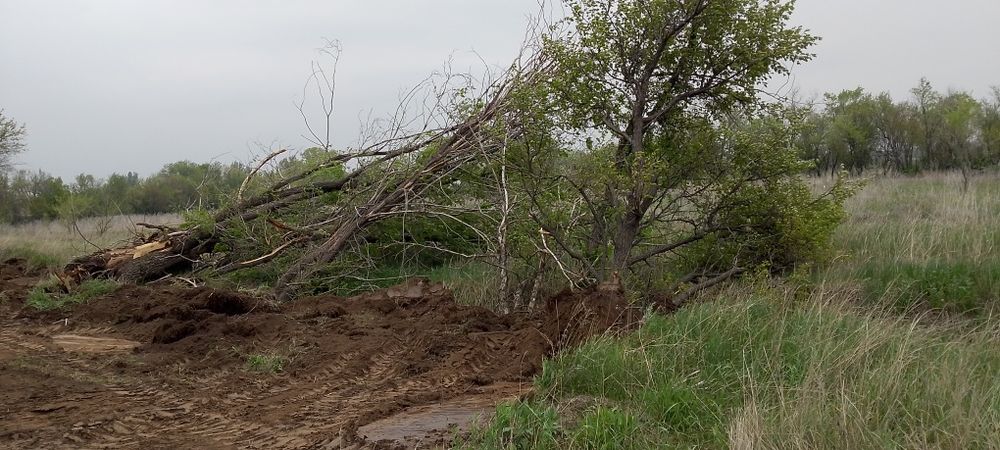 Дрова без платна агаш