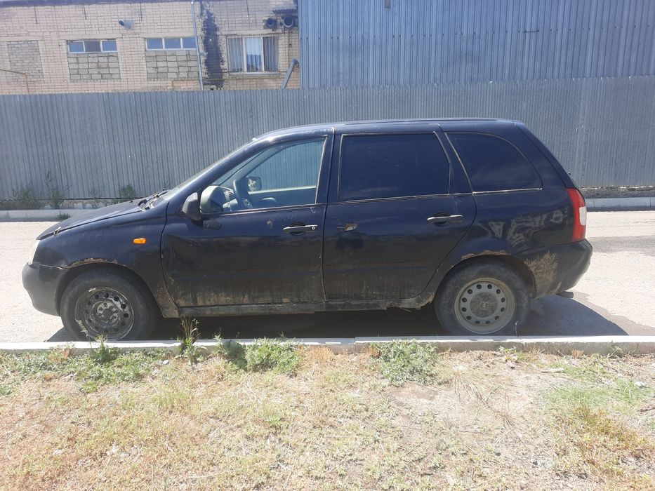 Калина 2011 жылгы