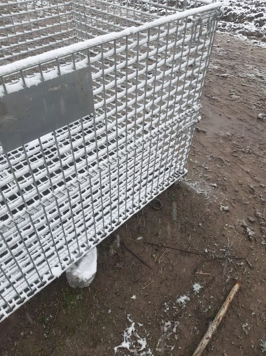 Zanglamas Qafas juda baquvvat