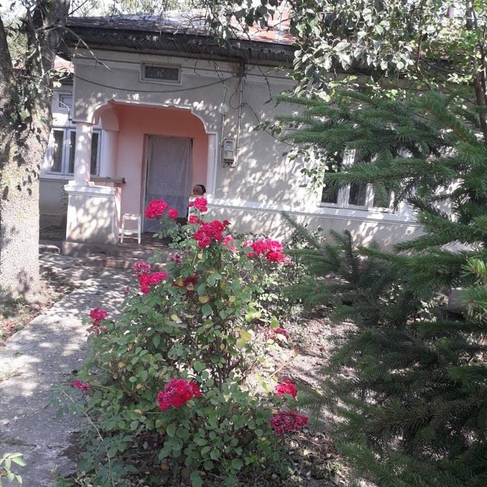 Vand casa teren curte si anexa in Titu Dambovita
