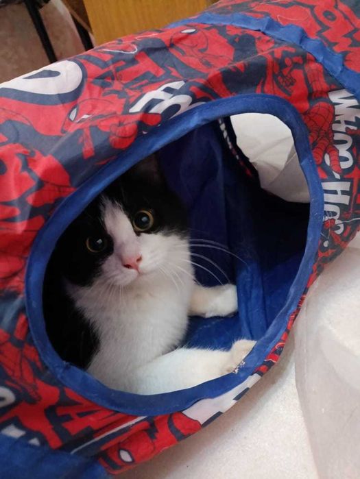 В самые ответственные руки