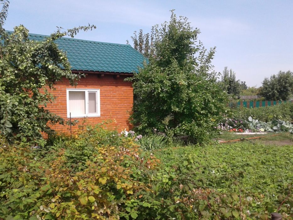 Продам дачу в обществе Юбилейный