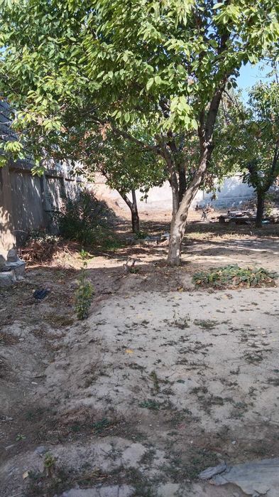 Ховли-жой сотилади.