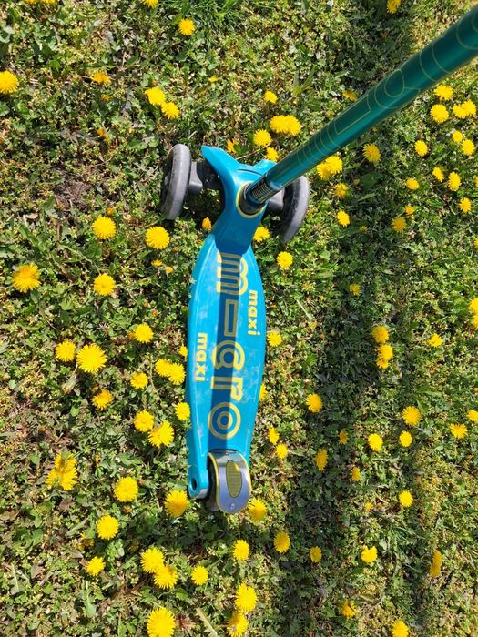 Trotineta de vânzare