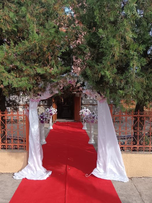 Porumbei albi pentru nunti Timișoara