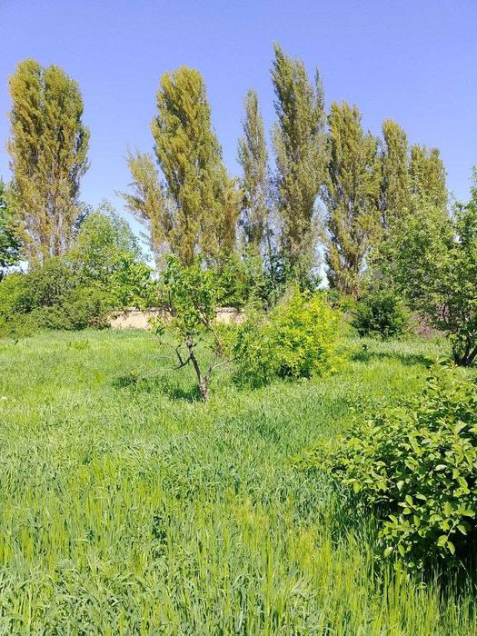 Ер сотилад Ҳар бири 4.5 сотихдан ёнма ён 2 та ер майдони (Байтқўрғон)