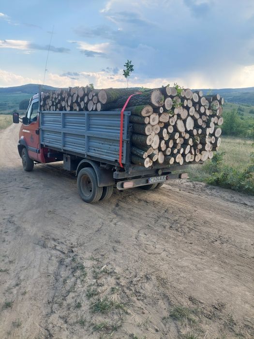 Lemn de foc esență tare