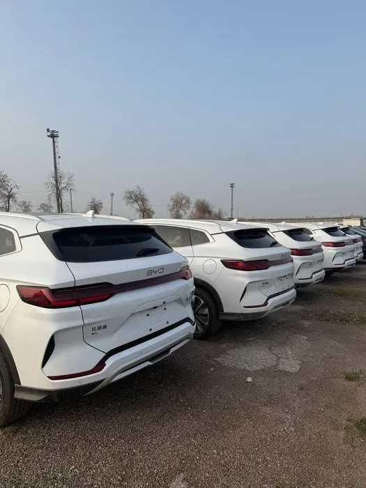 BYD Song Plus Champion 605 km nasiyaga skidka narxlarda