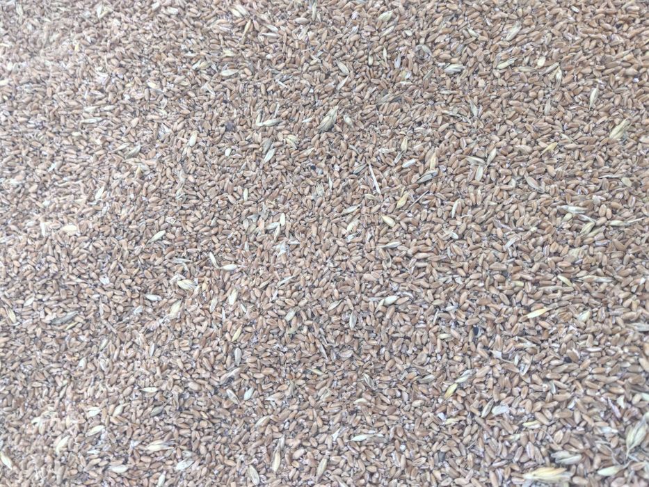 Продаю сечку 3800 мешок 40 кг