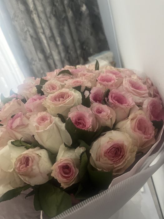 51 шт роза букет