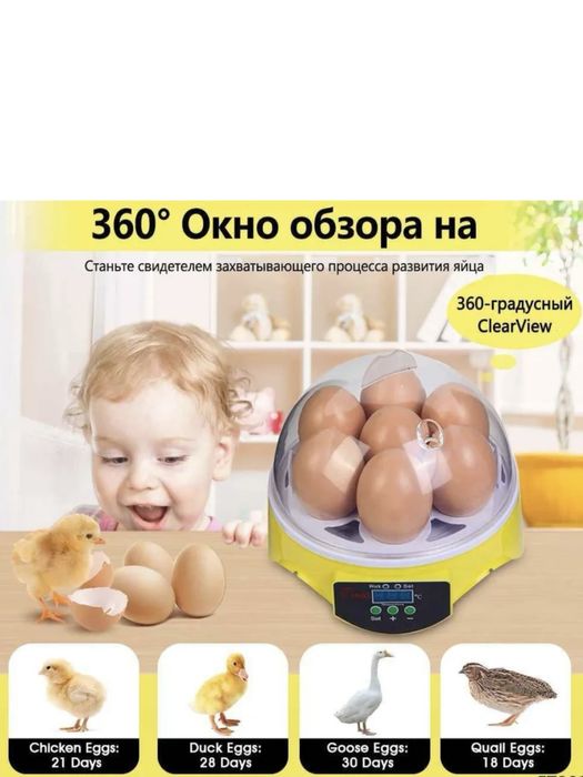 Inkubator 7 ta tuxum sig’imli