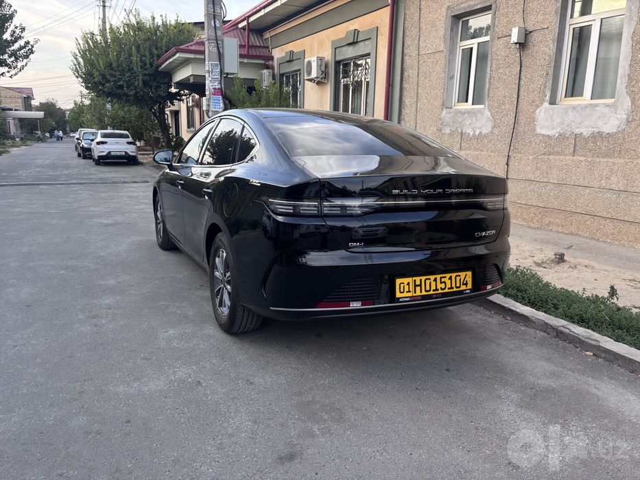 Byd chazor 2026 55 tali
