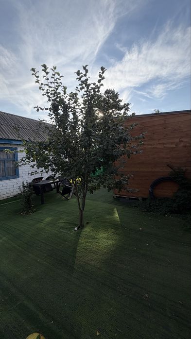 Продам дачу СО Краснопартизанское