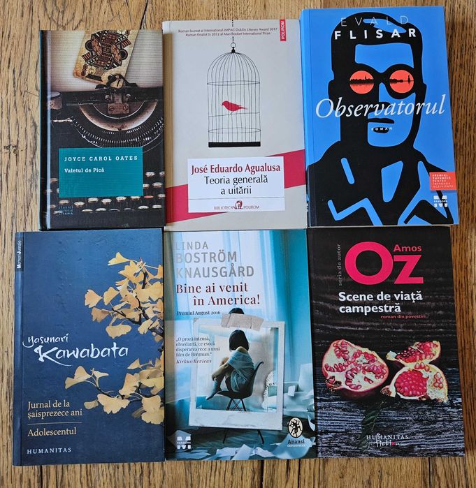 Carti literatura contemporana