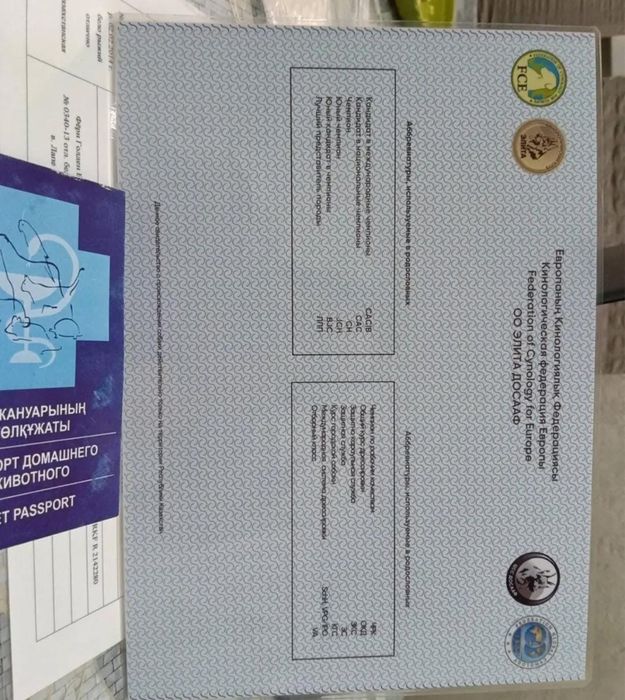 Московская сторежевая, девочка
