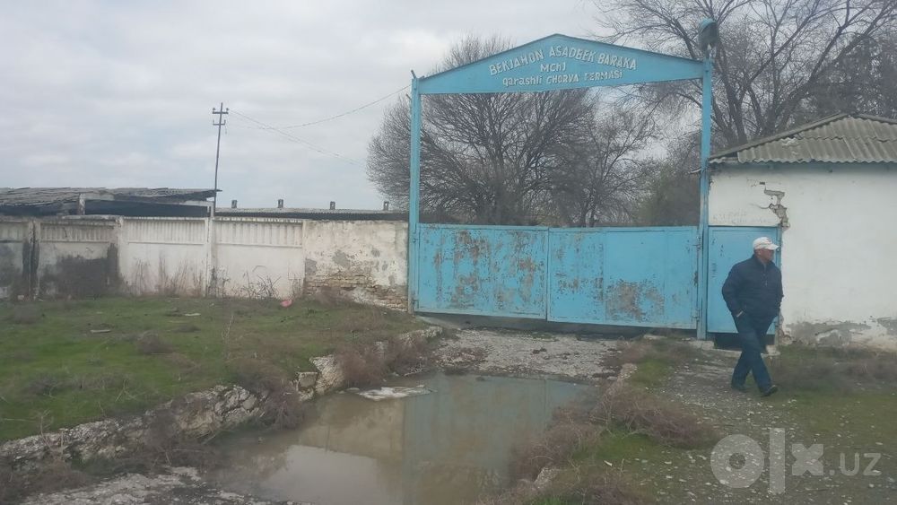 Zudlik bilan sotiladi